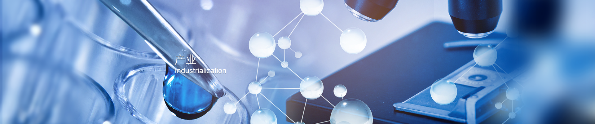 尊龙凯时人生就是搏(中国区)官方网站